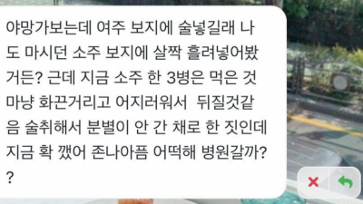 야망가 보고 ㅂㅈ에 소주 넣은 여자