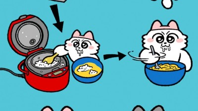 맛잘알 고양이