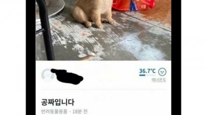 공짜까지 나온 당근마켓