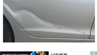자기 차 차폭감 잡는법