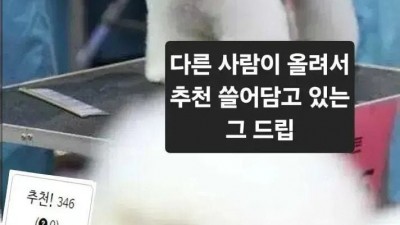 커뮤니티 활동하면 자주 겪는 일