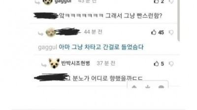 예비군한테 왜 경례 안하냐는 군단장