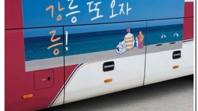 강릉 버스는 왜이렇게 귀엽나요