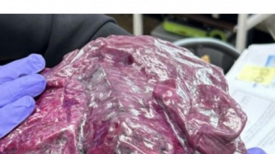 국내최초 “용의 심장” 공개 근황 ㄷㄷ