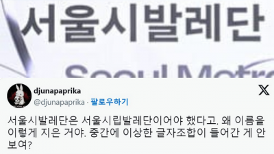 왜 서울시발레단 이냐구!!