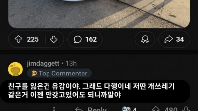 냉소 쩌는 레딧의 자동차 평가.jpg