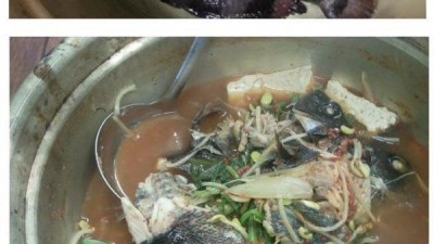 돌돔, 뱅에돔 매운탕