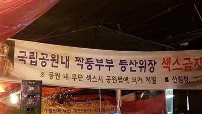 산림청 섹스 금지 선언