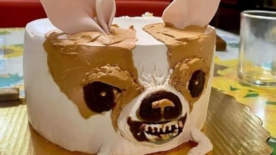 극사실주의 치와와 케이크