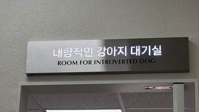 요즘 동물병원 근황
