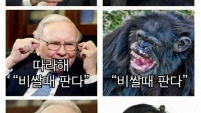주식시장 현재 상황