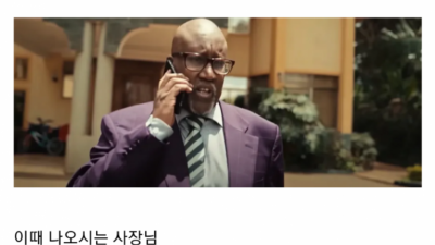 10달러
