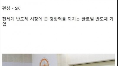 한국 스포츠를 지원하고 있는 대표 기업들