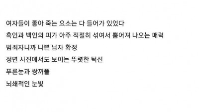 충격 그 자체라는 알파메일의 삶