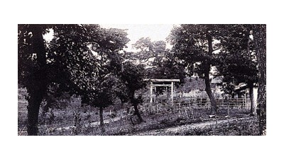 대구광역시의 옛모습