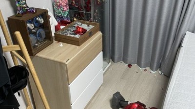 아침부터 우리집 고양이 사고침