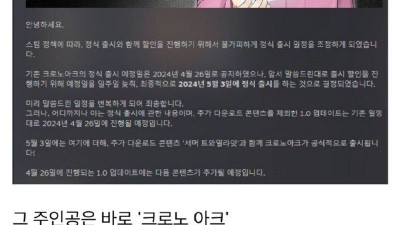 한국 개발자의 인디게임에 중국인들이 한 행동