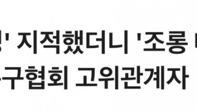 홍명보 감독 선정 공정성 지적하는 기사에 축구협회가 보낸 메일