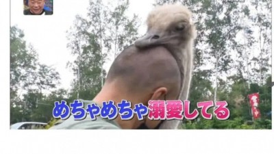 대머리와 어울리는것