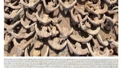 최근에 발굴된 이집트 유적 클라스