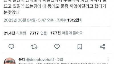 할아버지와 할머니가 결혼 하게 된 이유
