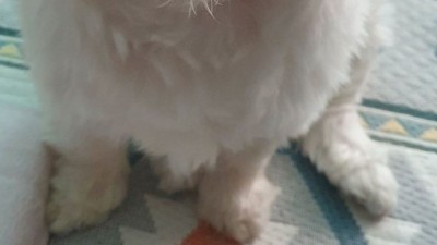온식구가 늦잠 자는 일요일 아침인데