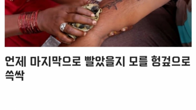 기타약혐)인도의 길거리 타투
