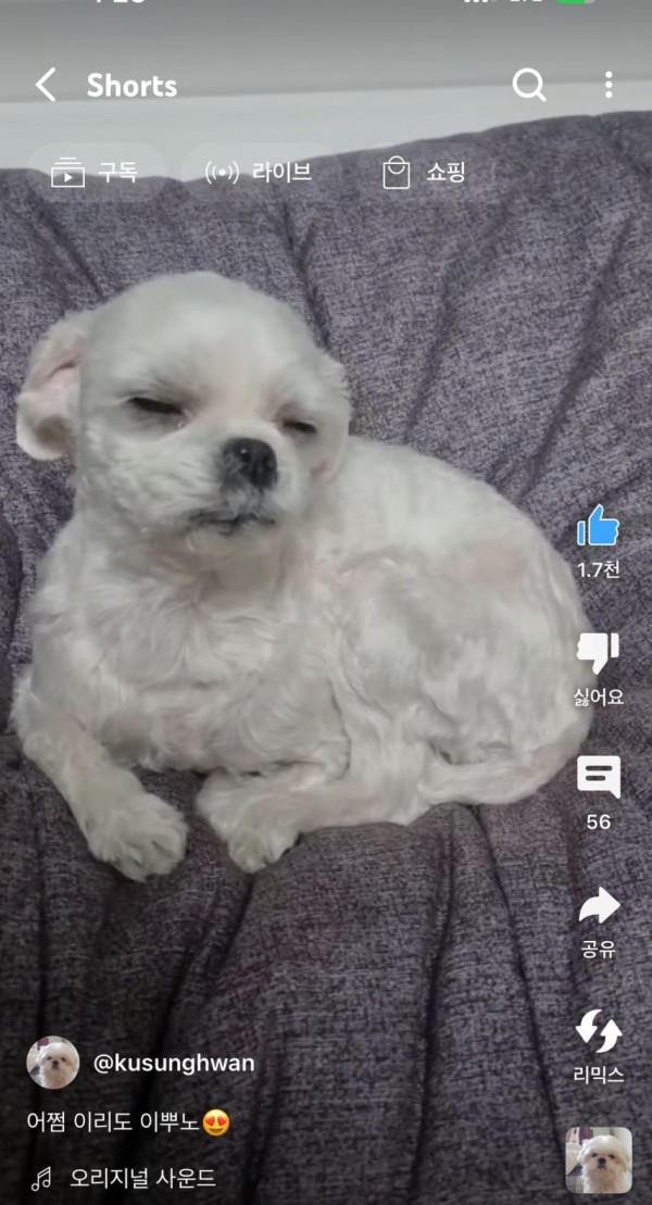 2728294355_FAc2poNJ_1717208198.jpeg