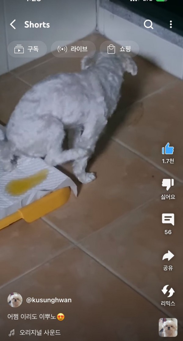 2728294355_Kyokzgrp_1717208198.jpeg