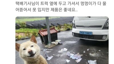속옷 쇼핑 후기