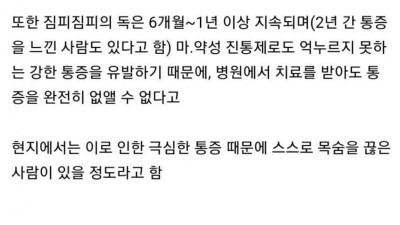 호주에서 절대 손대면 안되는 식물.jpg