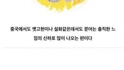 동양과 서양에서 취급이 다른 생물