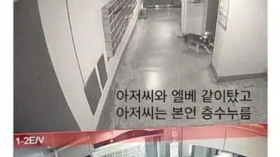 마트에서 잃어버린 개