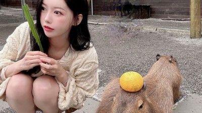 이아영