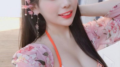 다미다미