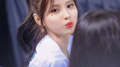 전은비
