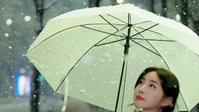 안지현