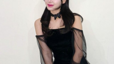우수한 하지원 고양이