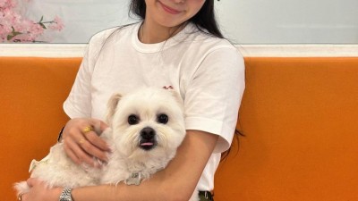 안지현