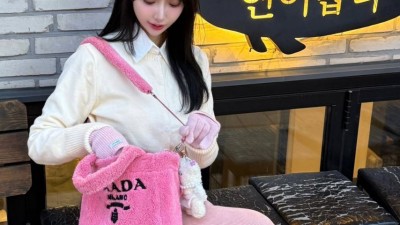 이다연