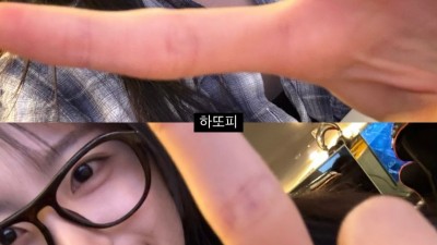 하지원