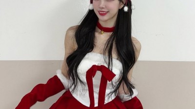 이호정