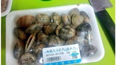 광기의 대한민국