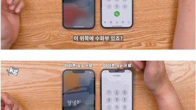 혁신적인 아이폰 13