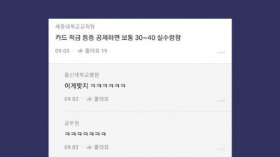 보통 직장인 실수령액