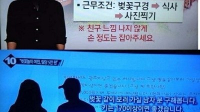 벚꽃놀이 같이 갈 알바