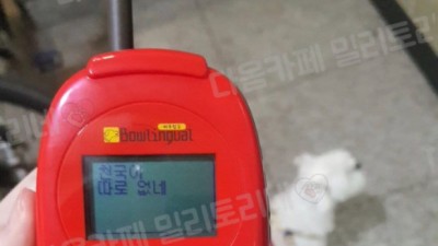 강아지 번역기 ㄹㅈㄷ ㅋㅋㅋㅋ