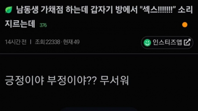 남동생의 야스가 걱정되는 누나