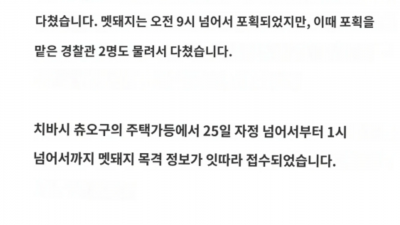 멧돼지 vs 일본 경찰