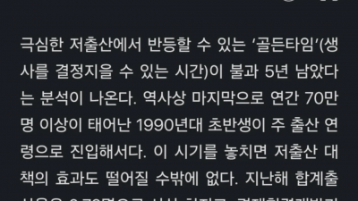 출산율 마지막 희망 91 ~ 96년생